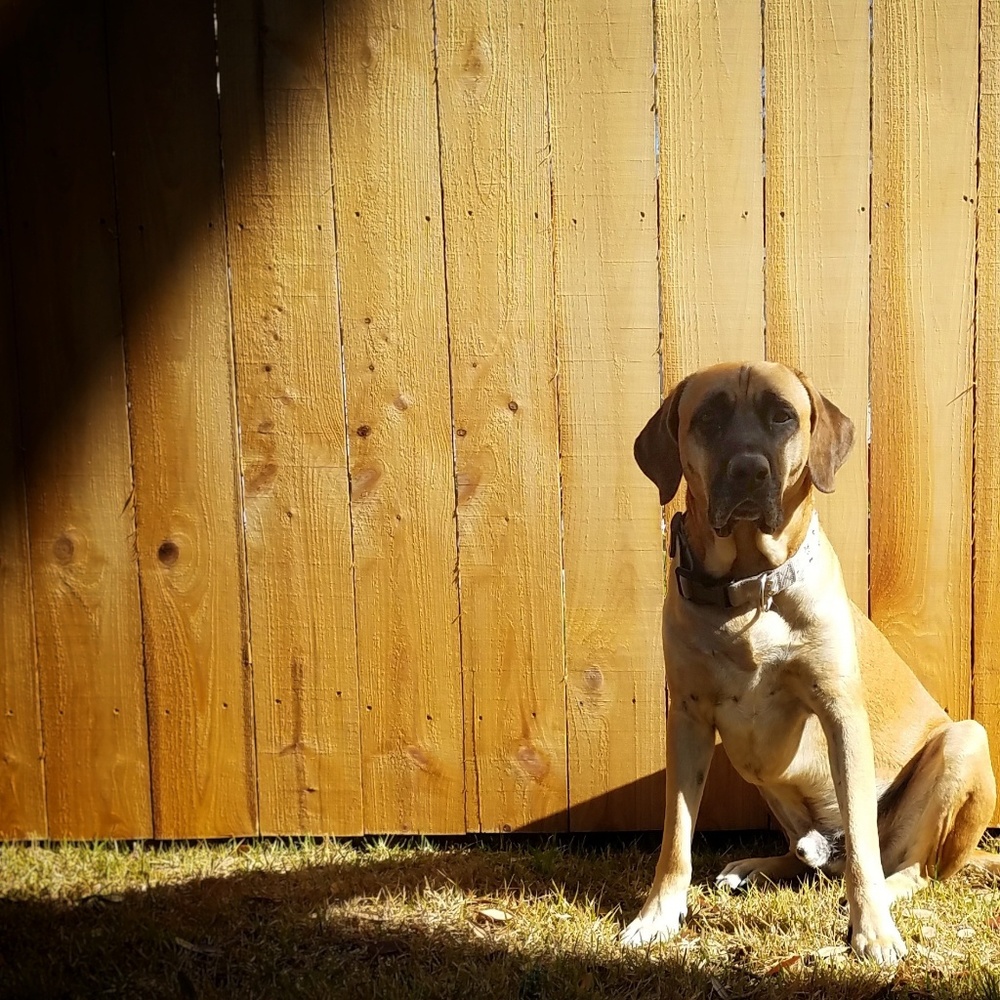 Meet your Posher, Madison